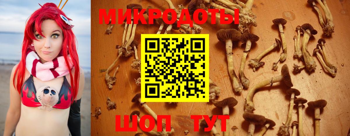 Тихвин  Галлюциногенные грибы мухоморы  закладка  Вход с VPN 