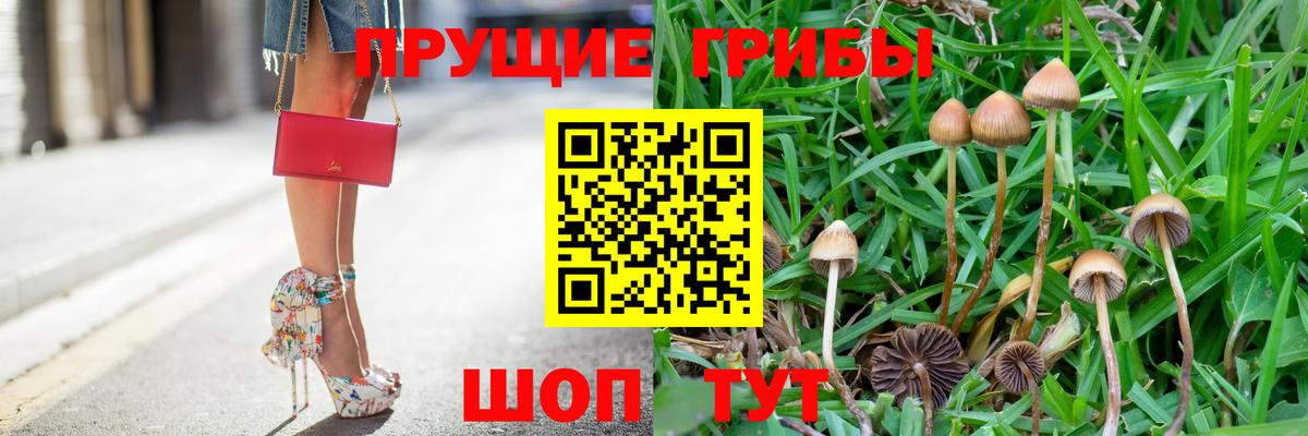 Галлюциногенные грибы мухоморы Тихвин